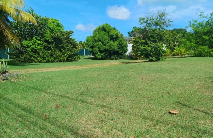 Vente Terrain 97118