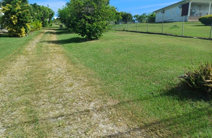 Vente Terrain 97118