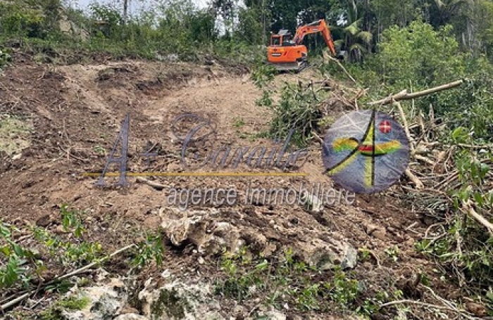 Terrain avec un beau potentiel de construction