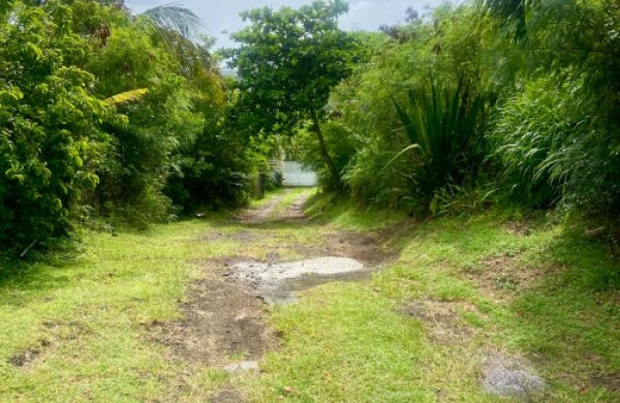 Vente Terrain 973m&sup2; Vieux Fort