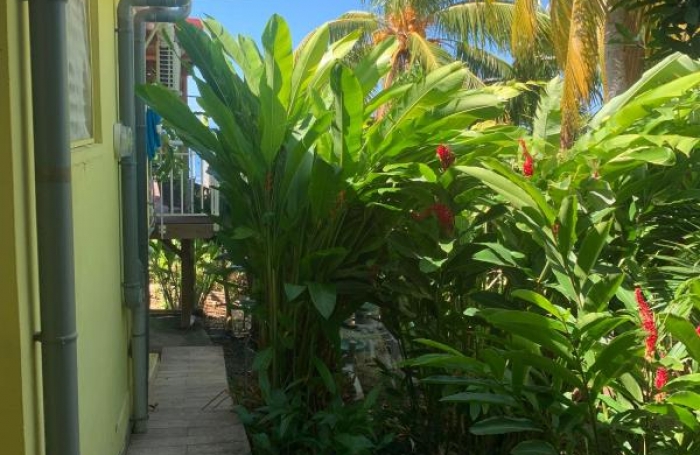 Vente Maison 73m&sup2; 5 pi&#232;ces Bouillante