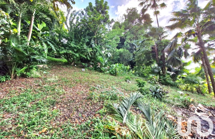 Vente Divers 195m&sup2; 5 pi&#232;ces Les Abymes