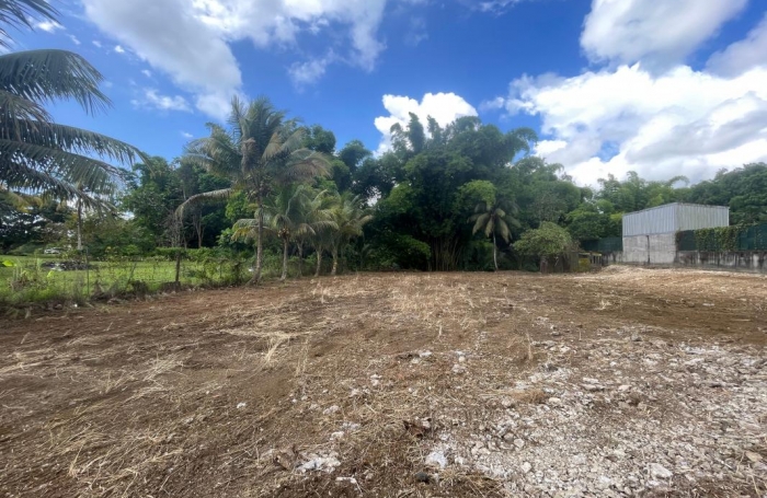 Vente Terrain 1534m&sup2; Sainte Rose