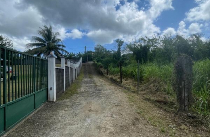 Vente Terrain 1534m&sup2; Sainte Rose