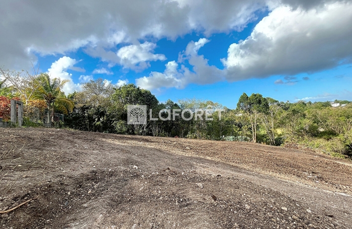 Vente Terrain 