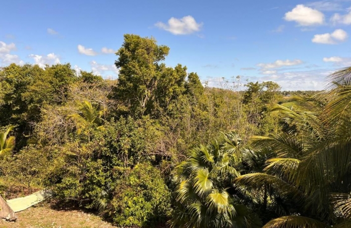 Vente Maison 370m&sup2; 11 pi&#232;ces Morne à l'eau