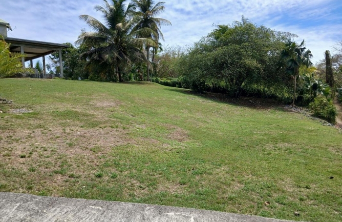 Vente Maison 370m&sup2; 11 pi&#232;ces Morne à l'eau