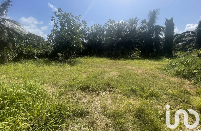 Vente Terrain 354m&sup2; Baie Mahault