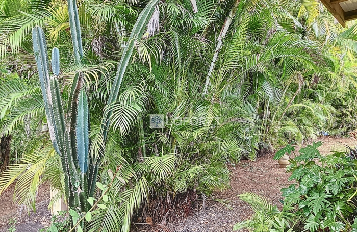 Location Maison 27.5m² 1 pièce Les Abymes