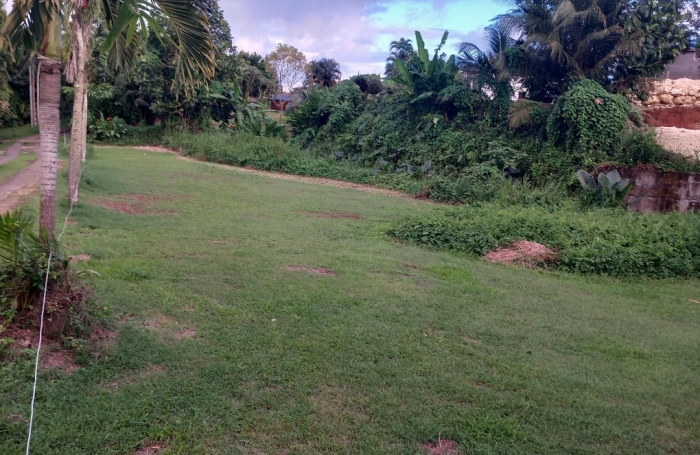 Vente Terrain 97170