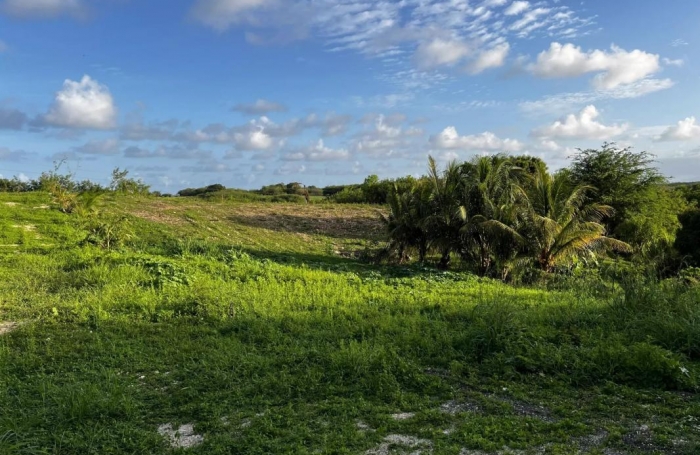 Vente Terrain 400m&sup2; Sainte Anne
