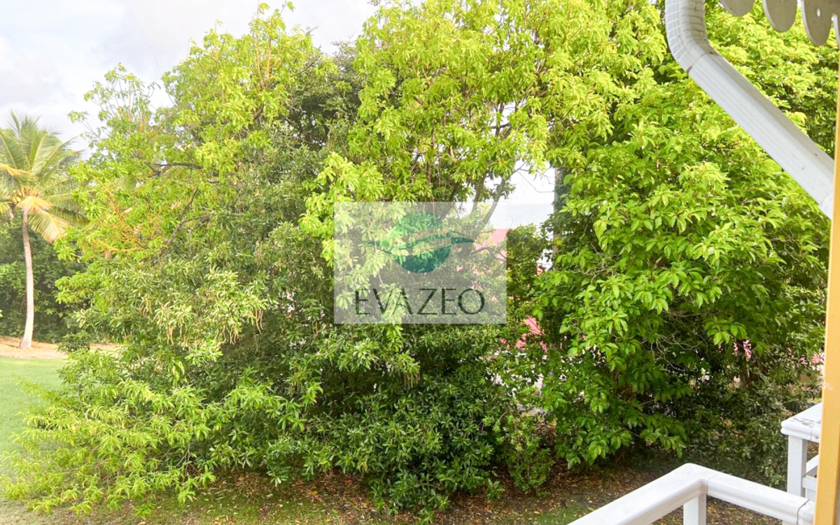 Studio 22m² Résidence Pierre et Vacances SAINTE ANNE