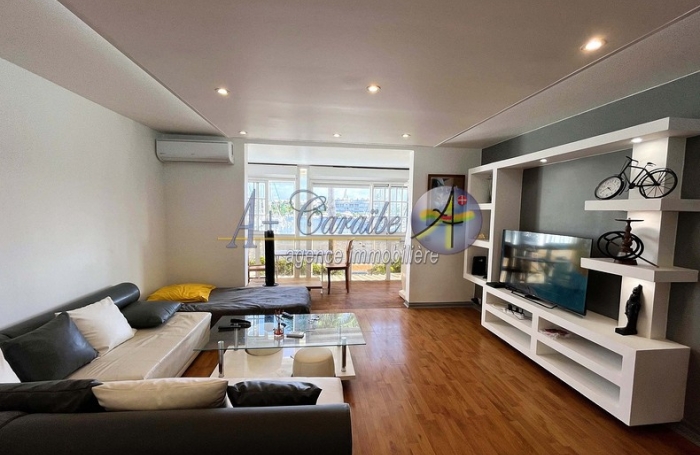 Location Appartement 97190