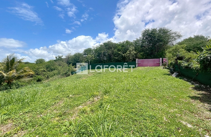 Vente Terrain 400m² Sainte Anne