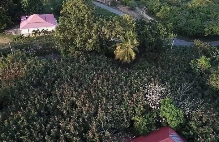 Vente Terrain 671m&sup2; Saint François