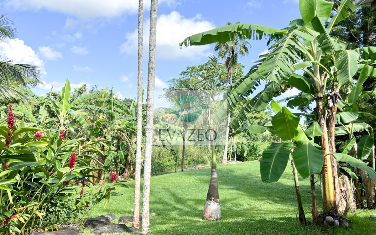 Superbe Villa 7 chambres - Lamentin Guadeloupe
