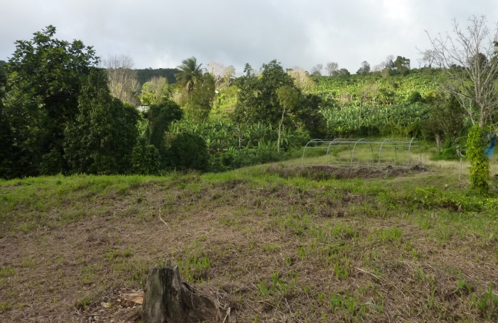 Vente Terrain 97113