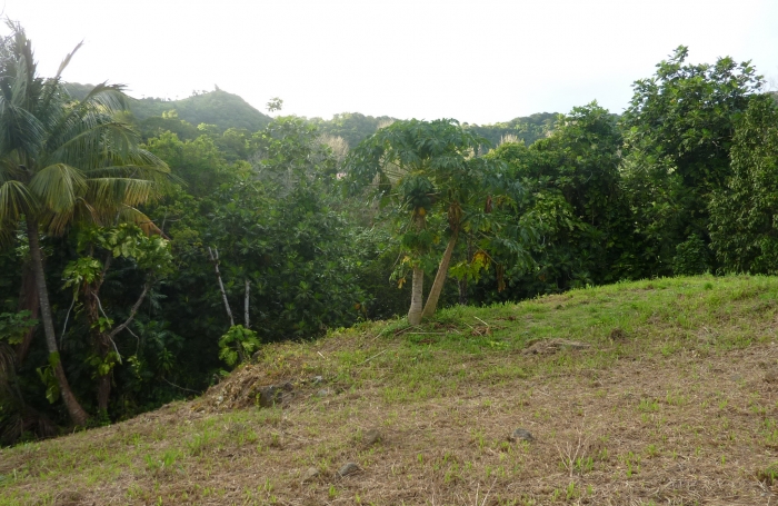 GOURBEYRE Terrain de 1200m2