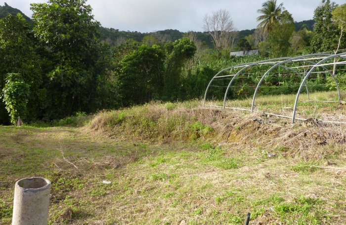 GOURBEYRE Terrain de 1200m2