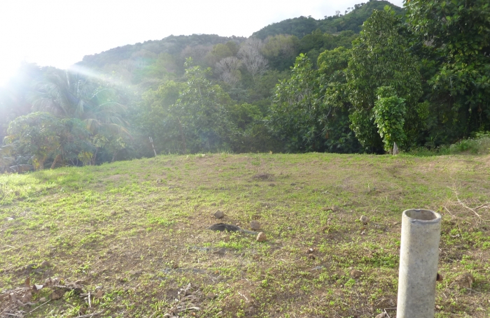GOURBEYRE Terrain de 1200m2