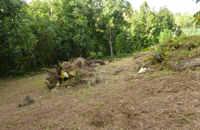 GOURBEYRE Terrain de 1200m2