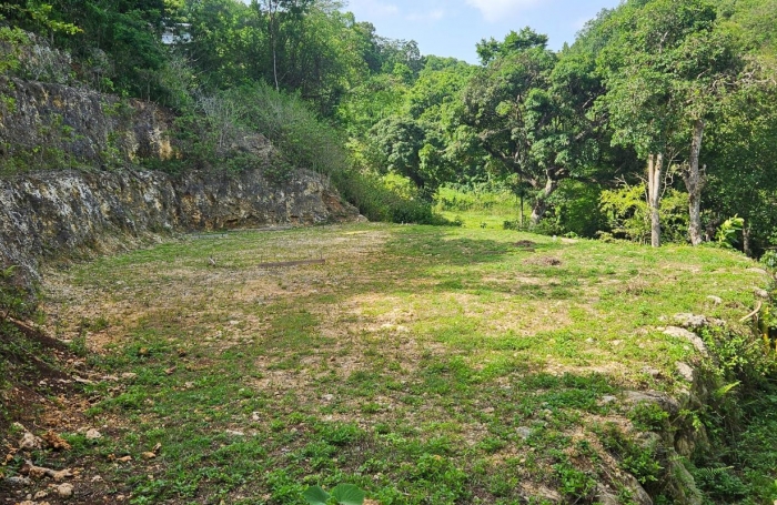 Vente Terrain 97190