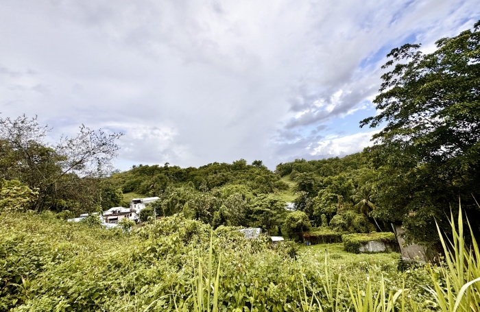 Vente Terrain 97139