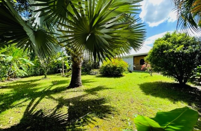 Location Maison 97122