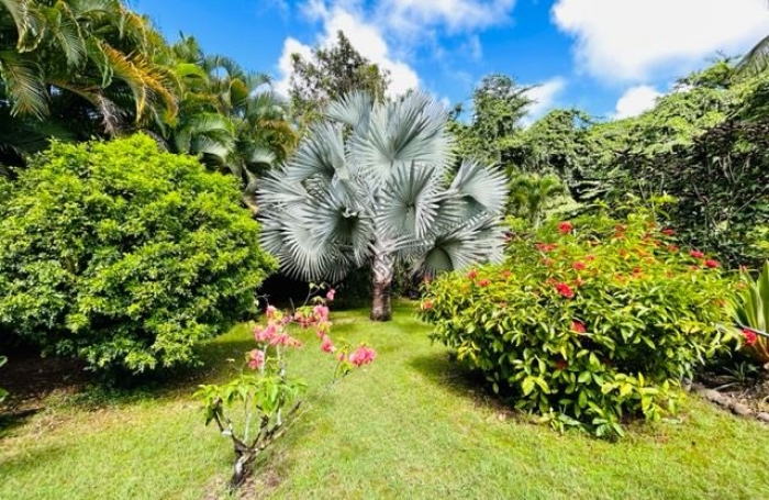 Location Maison 123.01m&sup2; 5 pi&#232;ces Baie Mahault