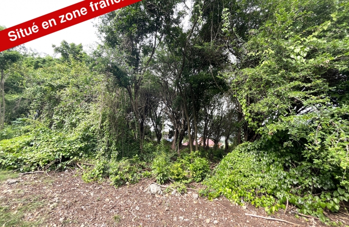 Grand terrain de 2 000 m2 - Emplacement stratégique - Situé en Zone Franche