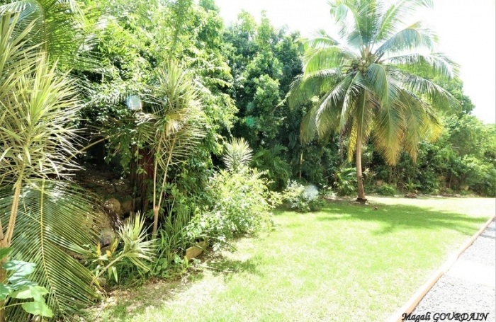 Vente Appartement 30m&sup2; 1 pi&#232;ce Le Moule