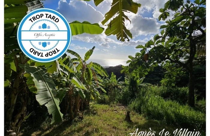 Vente Terrain 97119