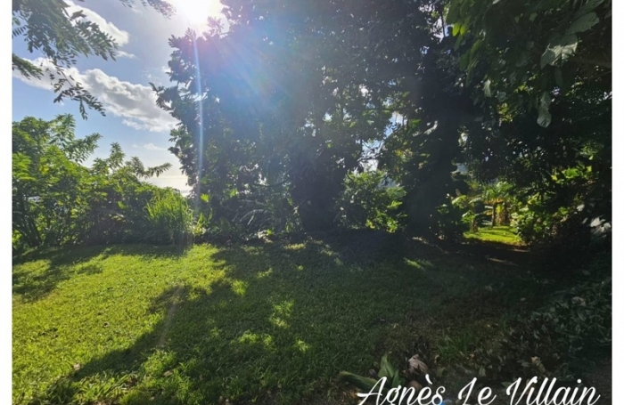Vente Terrain 1000m&sup2; Vieux Habitants