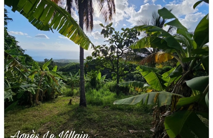 Vente Terrain 1000m&sup2; Vieux Habitants