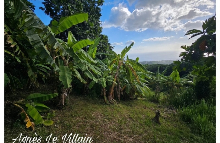 Vente Terrain 1000m&sup2; Vieux Habitants