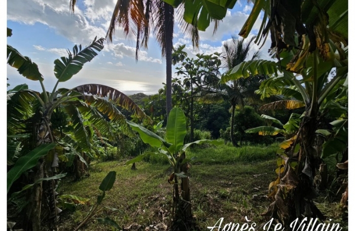 Vente Terrain 1000m&sup2; Vieux Habitants