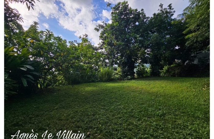 Vente Terrain 1000m&sup2; Vieux Habitants
