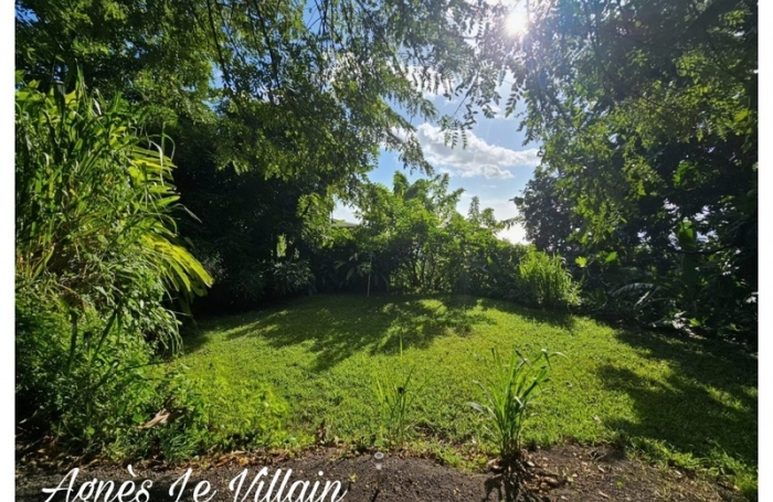 Vente Terrain 1000m&sup2; Vieux Habitants