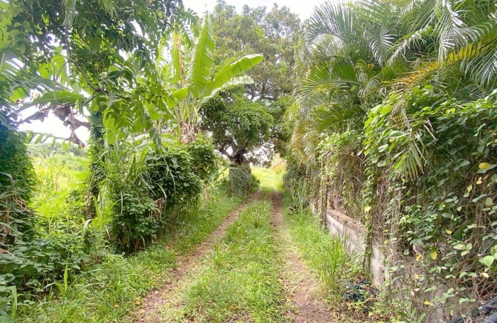 Vente Terrain 