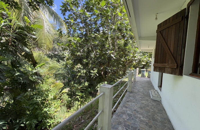 Location Appartement 97190