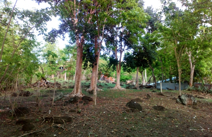 Vente Terrain 97125
