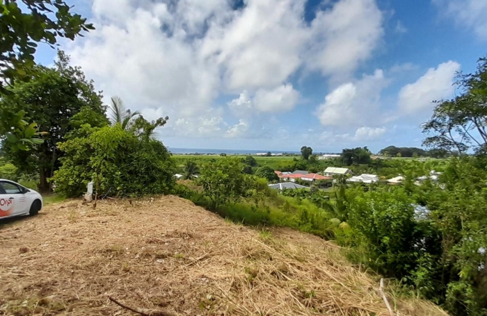 Vente Terrain 507m&sup2; Capesterre Belle Eau