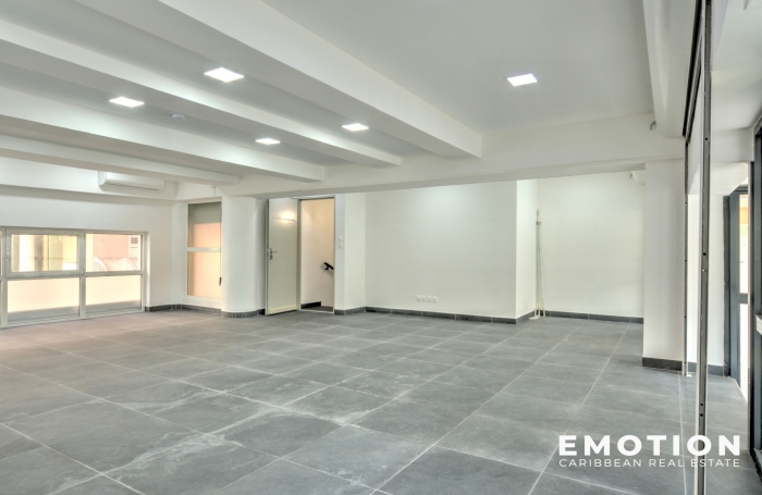 LOCAL COMMERCIAL 115 m2 - A VENDRE