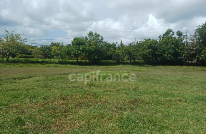 Vente Terrain 1000m&sup2; Petit-Canal