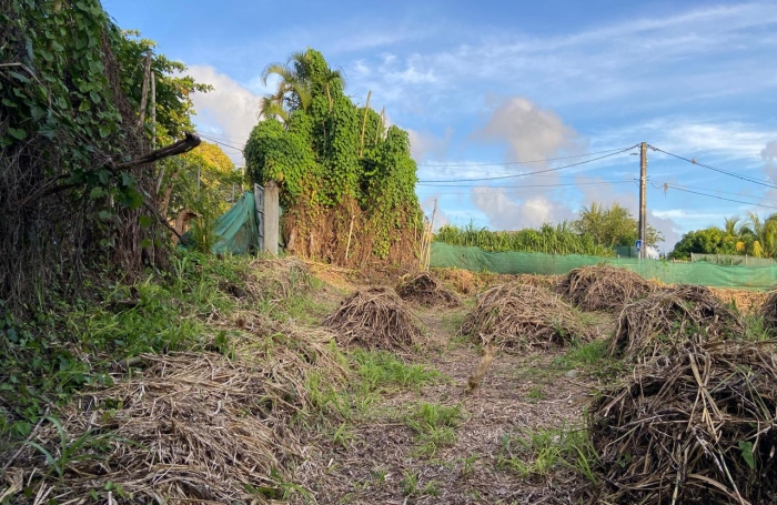 SAINT CLAUDE Terrain plat de 1318m2 secteur Belfond