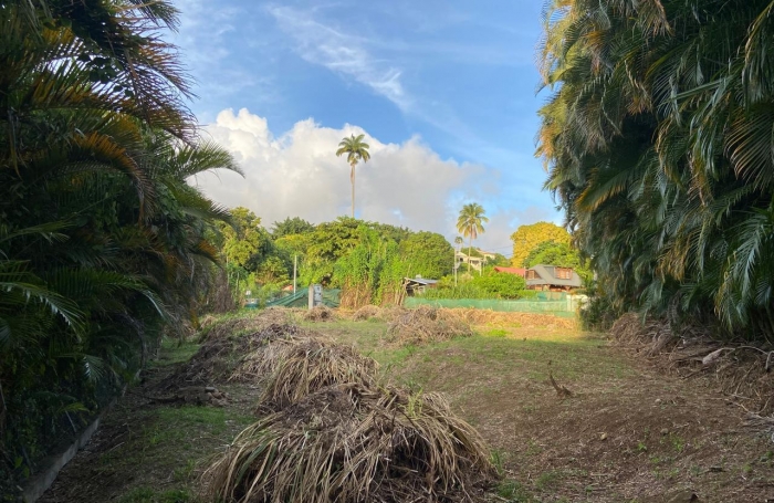 SAINT CLAUDE Terrain plat de 1318m2 secteur Belfond