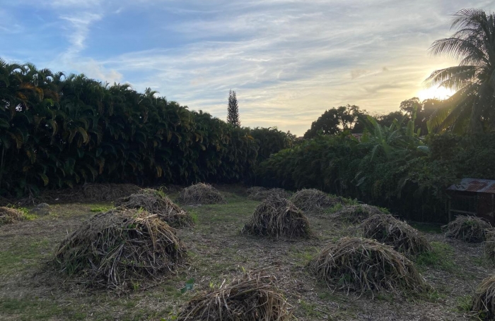 SAINT CLAUDE Terrain plat de 1318m2 secteur Belfond