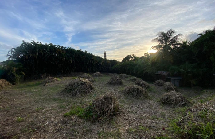 SAINT CLAUDE Terrain plat de 1318m2 secteur Belfond