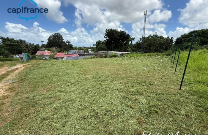 Vente Terrain 646m&sup2; Baie Mahault