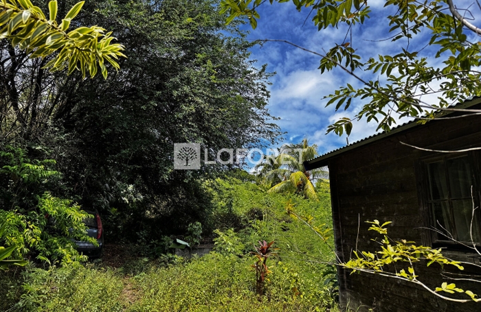 Vente Terrain 801m² Anse-Bertrand